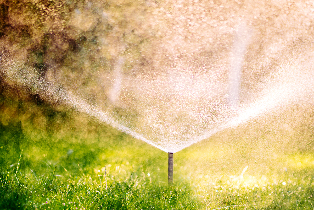Irrigation and Sprinkler Services Tips