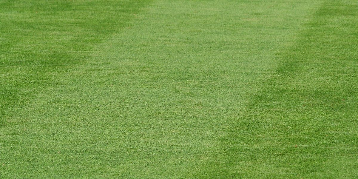 sprinkler-well-services-martin-county Green lawn by Inline Inc