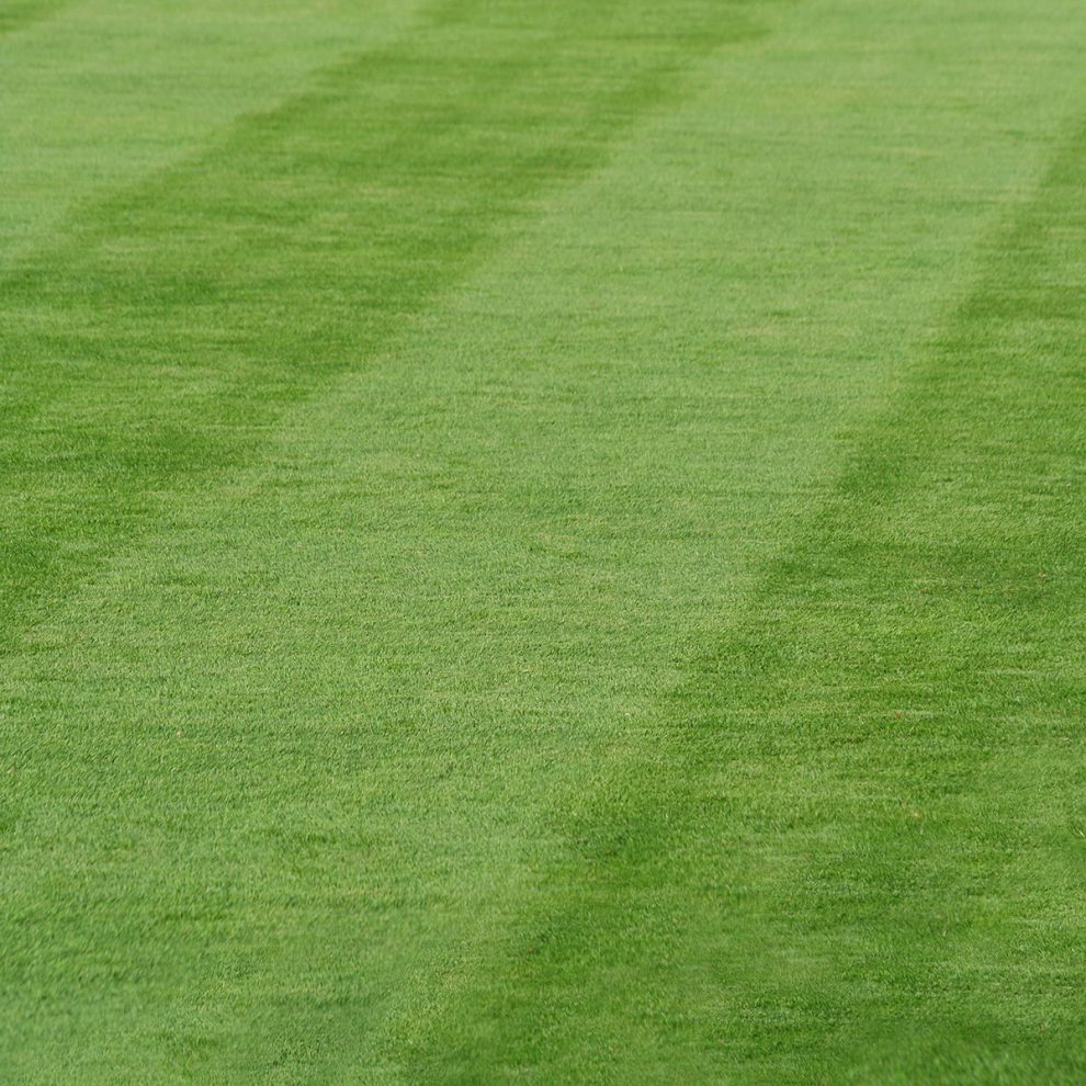 Green lawn by Inline Inc